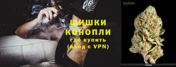 трава Армянск