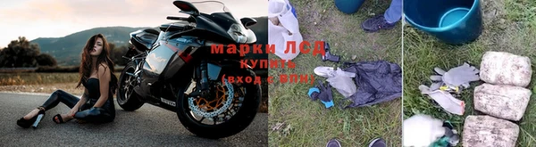 каннабис Арсеньев